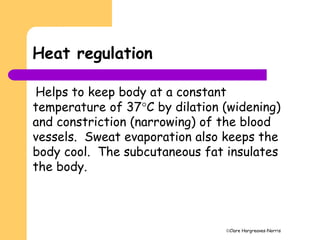 Clare Hargreaves-Norris
Heat regulation
Helps to keep body at a constant
temperature of 37C by dilation (widening)
and constriction (narrowing) of the blood
vessels. Sweat evaporation also keeps the
body cool. The subcutaneous fat insulates
the body.