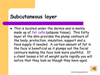 Clare Hargreaves-Norris
Subcutaneous layer
 This is located under the dermis and is mainly
made up of fat cells (adipose tissue). This fatty
layer of the skin provides the plump contours of
the body, protection, insulation, support and a
food supply if needed. A certain amount of fat in
the face is beneficial as it plumps out the facial
contours making the face look more youthful. If
a client looses a lot of weight quite rapidly you will
notice that they look as though they have aged.
 