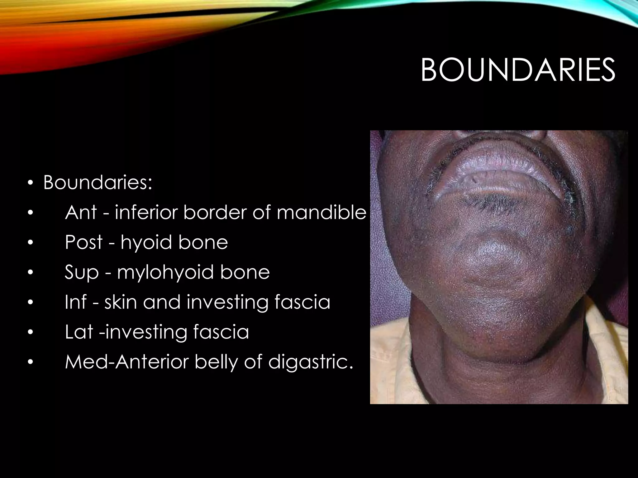 BOUNDARIES 
• Boundaries: 
• Ant - inferior border of mandible 
• Post - hyoid bone 
• Sup - mylohyoid bone 
• Inf - skin and investing fascia 
• Lat -investing fascia 
• Med-Anterior belly of digastric. 
 