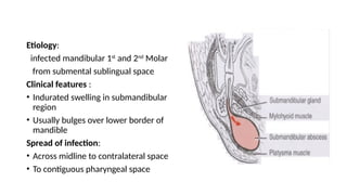 Indurayed Borders Comprehensive Overview of Facial Spaces and Odontogenic Infection ...