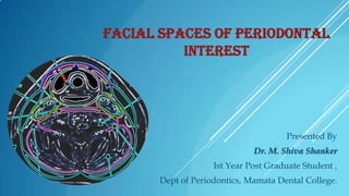 FACIAL SPACES OF PERIODONTAL
INTEREST

Presented By
Dr. M. Shiva Shanker
Ist Year Post Graduate Student ,
Dept of Periodontics, Mamata Dental College.

 