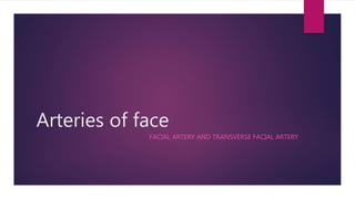 Arteries of face
FACIAL ARTERY AND TRANSVERSE FACIAL ARTERY
 