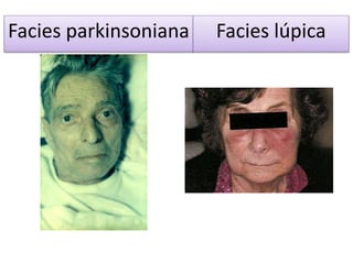 Facies (2) | PPTX