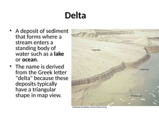 Facies concepts.pptx Descriptive (observational) sedimentary ...