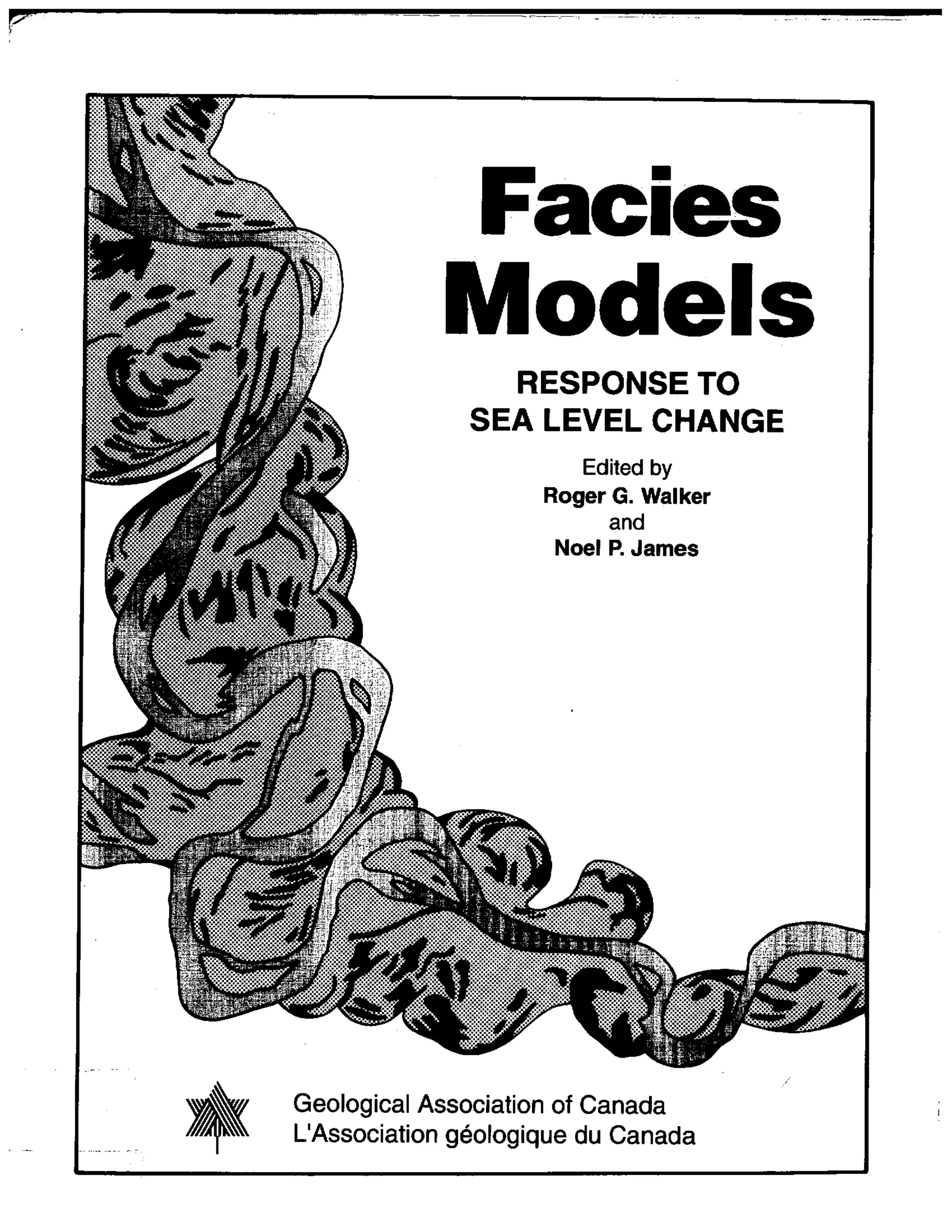 Facies models