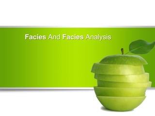 Facies And Facies Analysis
 