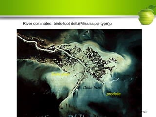 Page  22
River dominated: birds-foot delta(Mississippi-type)p
prodelta
Delta front
Delta plain
 
