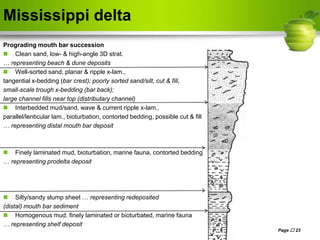 Mississippi delta
Prograding mouth bar succession
 Clean sand, low- & high-angle 3D strat.
… representing beach & dune deposits
 Well-sorted sand, planar & ripple x-lam.,
tangential x-bedding (bar crest); poorly sorted sand/silt, cut & fill,
small-scale trough x-bedding (bar back);
large channel fills near top (distributary channel)
 Interbedded mud/sand, wave & current ripple x-lam.,
parallel/lenticular lam., bioturbation, contorted bedding, possible cut & fill
… representing distal mouth bar deposit
 Finely laminated mud, bioturbation, marine fauna, contorted bedding
… representing prodelta deposit
 Silty/sandy slump sheet … representing redeposited
(distal) mouth bar sediment
 Homogenous mud, finely laminated or bioturbated, marine fauna
… representing shelf deposit
Page  23
 