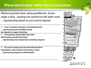 Wave-dominated delta front succession
Medium-grained sand, plane-parallel lam. & low-
angle x-strat., passing into sand/mud with plant roots
... representing beach to non-marine deposit
 Fine- to medium-grained, cross-bedded sand
... representing wave-modified mouth
bar deposit on upper shoreface
 Fine-grained, bioturbated sand with
HCS & plane-parallel lamination
... representing wave-swept lower shoreface deposit
 CU mud to sandy mud to sand with pervasive
bioturbation, storm beds & hummocky x-strat.
... representing regressive shelf deposit
Page  27
 