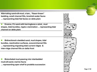 Alternating sand-silt-mud, x-lam., “flaser-linsen”
bedding, small channel fills, brackish-water fauna
... representing tidal flat facies on delta plain
 Erosive, FU sand with herringbone x-strat., mud
drapes, tidal bundles, ripple x-lamination ... representing tidal
channel on delta plain
 Bidirectional x-bedded sand, mud drapes, tidal
bundles, reactivation surfaces, scours/channel fills
... representing migrating tidal current ridges &
inter-ridge channel fills on delta front
 Bioturbated mud passing into interbedded
mud-silt-sand, marine fauna
... representing open shelf to prodelta succession
Page  30
 