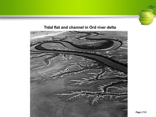 Page  31
Tidal flat and channel in Ord river delta
 