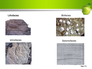 Page  6Page  6
Lithofacies Biofacies
ichnofacies Seismicfacies
 