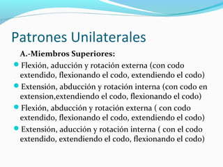 Patrones Unilaterales
A.-Miembros Superiores:
Flexión, aducción y rotación externa (con codo
extendido, flexionando el codo, extendiendo el codo)
Extensión, abducción y rotación interna (con codo en
extension,extendiendo el codo, flexionando el codo)
Flexión, abducción y rotación externa ( con codo
extendido, flexionando el codo, extendiendo el codo)
Extensión, aducción y rotación interna ( con el codo
extendido, extendiendo el codo, flexionando el codo)
 
