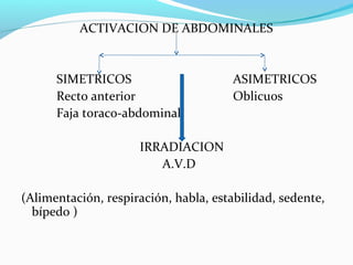ACTIVACION DE ABDOMINALES
SIMETRICOS ASIMETRICOS
Recto anterior Oblicuos
Faja toraco-abdominal
IRRADIACION
A.V.D
(Alimentación, respiración, habla, estabilidad, sedente,
bípedo )
 