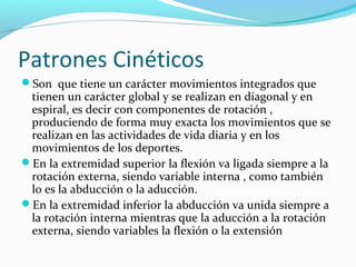 Patrones Cinéticos
Son que tiene un carácter movimientos integrados que
tienen un carácter global y se realizan en diagonal y en
espiral, es decir con componentes de rotación ,
produciendo de forma muy exacta los movimientos que se
realizan en las actividades de vida diaria y en los
movimientos de los deportes.
En la extremidad superior la flexión va ligada siempre a la
rotación externa, siendo variable interna , como también
lo es la abducción o la aducción.
En la extremidad inferior la abducción va unida siempre a
la rotación interna mientras que la aducción a la rotación
externa, siendo variables la flexión o la extensión
 