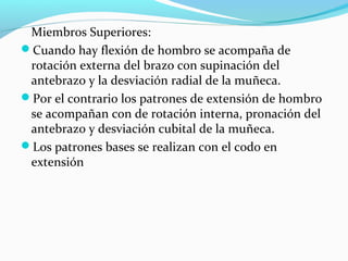 Miembros Superiores:
Cuando hay flexión de hombro se acompaña de
rotación externa del brazo con supinación del
antebrazo y la desviación radial de la muñeca.
Por el contrario los patrones de extensión de hombro
se acompañan con de rotación interna, pronación del
antebrazo y desviación cubital de la muñeca.
Los patrones bases se realizan con el codo en
extensión
 