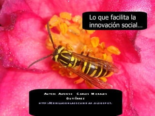 Lo que facilita la innovación social… Autor: Alfonso  Carlos Morales Gutiérrez http://cerillasenlaoscuridad.blogspot.com/   