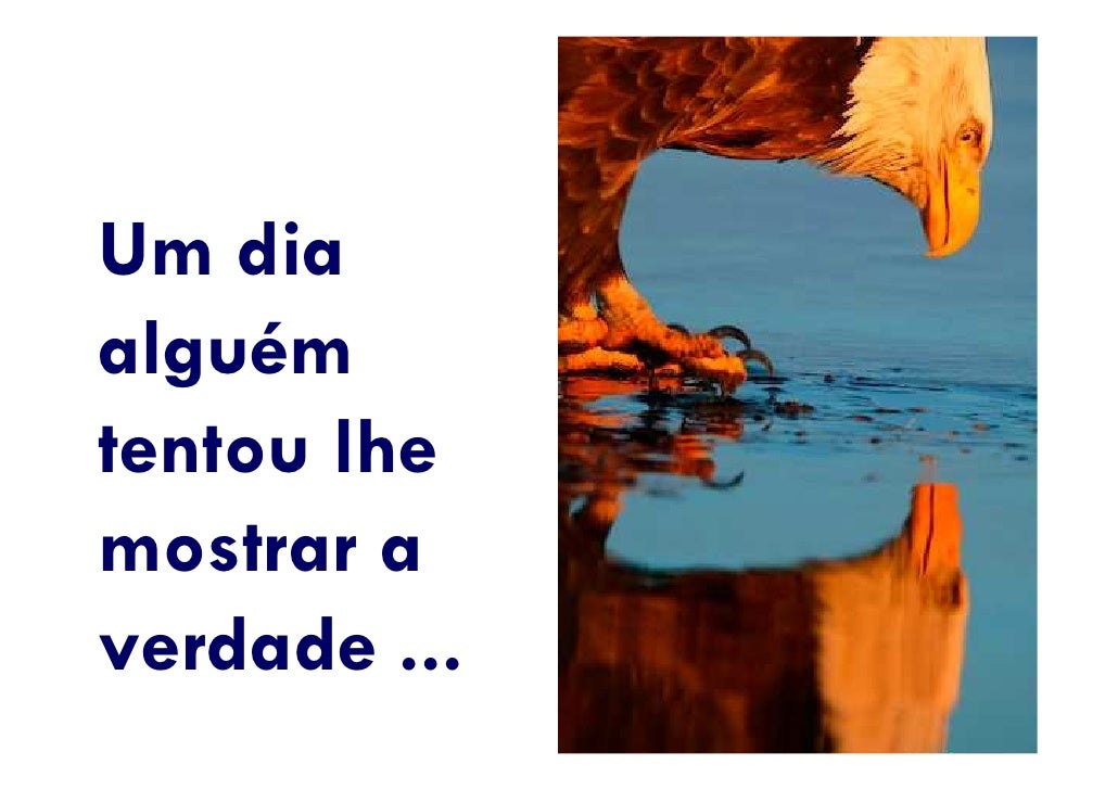 Imagem relacionada