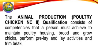 The ANIMAL PRODUCTION (POULTRY
CHICKEN NC II) Qualification consists of
competencies that a person must achieve to
maintain poultry housing, brood and grow
chicks, perform pre-lay and lay activities and
trim beak.
 