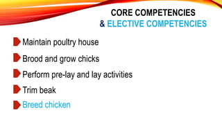 Maintain poultry house
CORE COMPETENCIES
Brood and grow chicks
Perform pre-lay and lay activities
Trim beak
Breed chicken
 