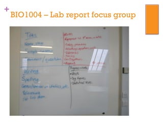 +
BIO1004 – Lab report focus group
 