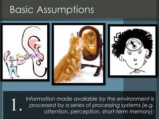 Cognitive Psychology and information Processing | PPTX