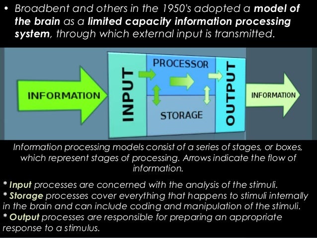Cognitive Psychology and information Processing