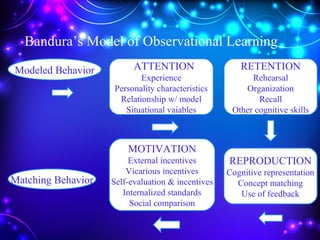 Bandura’s Model of Observational Learning
Modeled Behavior kATTENTION
Experience
Personality characteristics
Relationship w/ model
Situational vaiables
RETENTION
Rehearsal
Organization
Recall
Other cognitive skills
REPRODUCTION
Cognitive representation
Concept matching
Use of feedback
MOTIVATION
External incentives
Vicarious incentives
Self-evaluation & incentives
Internalized standards
Social comparison
Matching Behavior
 