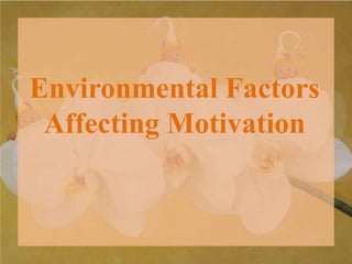 Environmental Factors
Affecting Motivation
 