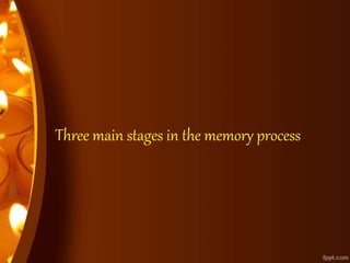 Three main stages in the memory process
 