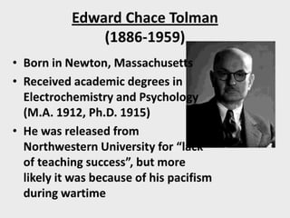 Facilitating learning a metacognitive process