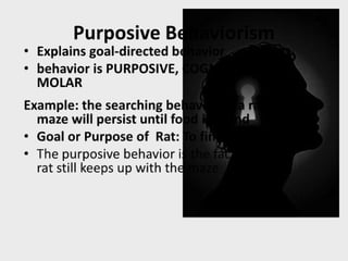 Facilitating learning a metacognitive process