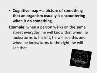 Facilitating learning a metacognitive process
