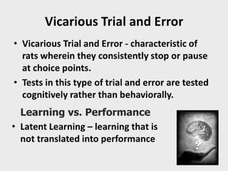 Facilitating learning a metacognitive process