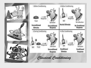 Facilitating learning a metacognitive process