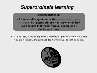 Facilitating learning a metacognitive process