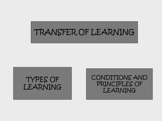 Facilitating learning a metacognitive process
