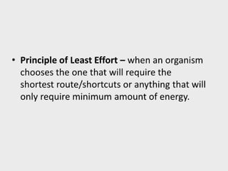 Facilitating learning 