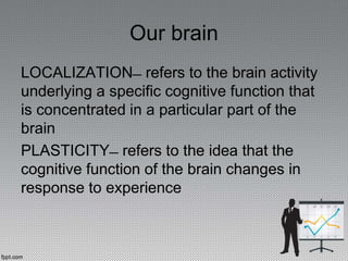 Our brain
LOCALIZATION ̶ refers to the brain activity
underlying a specific cognitive function that
is concentrated in a particular part of the
brain
PLASTICITY ̶ refers to the idea that the
cognitive function of the brain changes in
response to experience
 