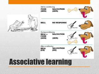 Facilitation in neuro rehabilitation | PPTX