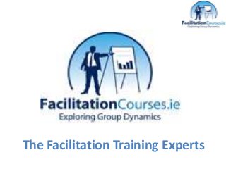 The Facilitation Training Experts
 