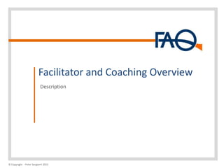 Facilitator and Coaching Overview
Description

© Copyright - Peter Sergeant 2013

 