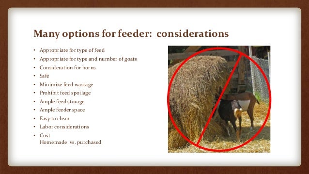 Facilities For Small Scale Goat Farms