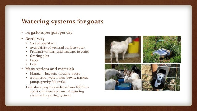 Facilities For Small Scale Goat Farms