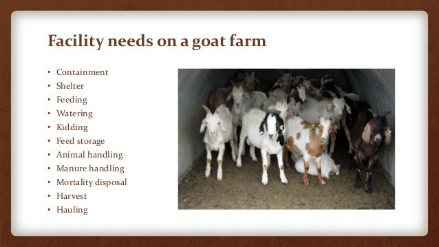 Facilities for SmallScale Goat Farms