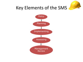 Key Elements of the SMS
Policy
Planning
Implementing
Assessing
Management
Review
 