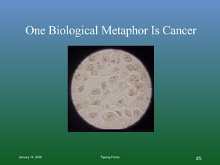 One Biological Metaphor Is Cancer 