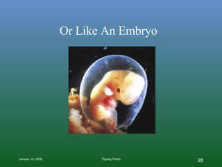 Or Like An Embryo 