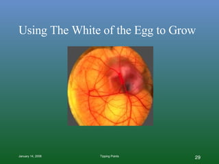 Using The White of the Egg to Grow 