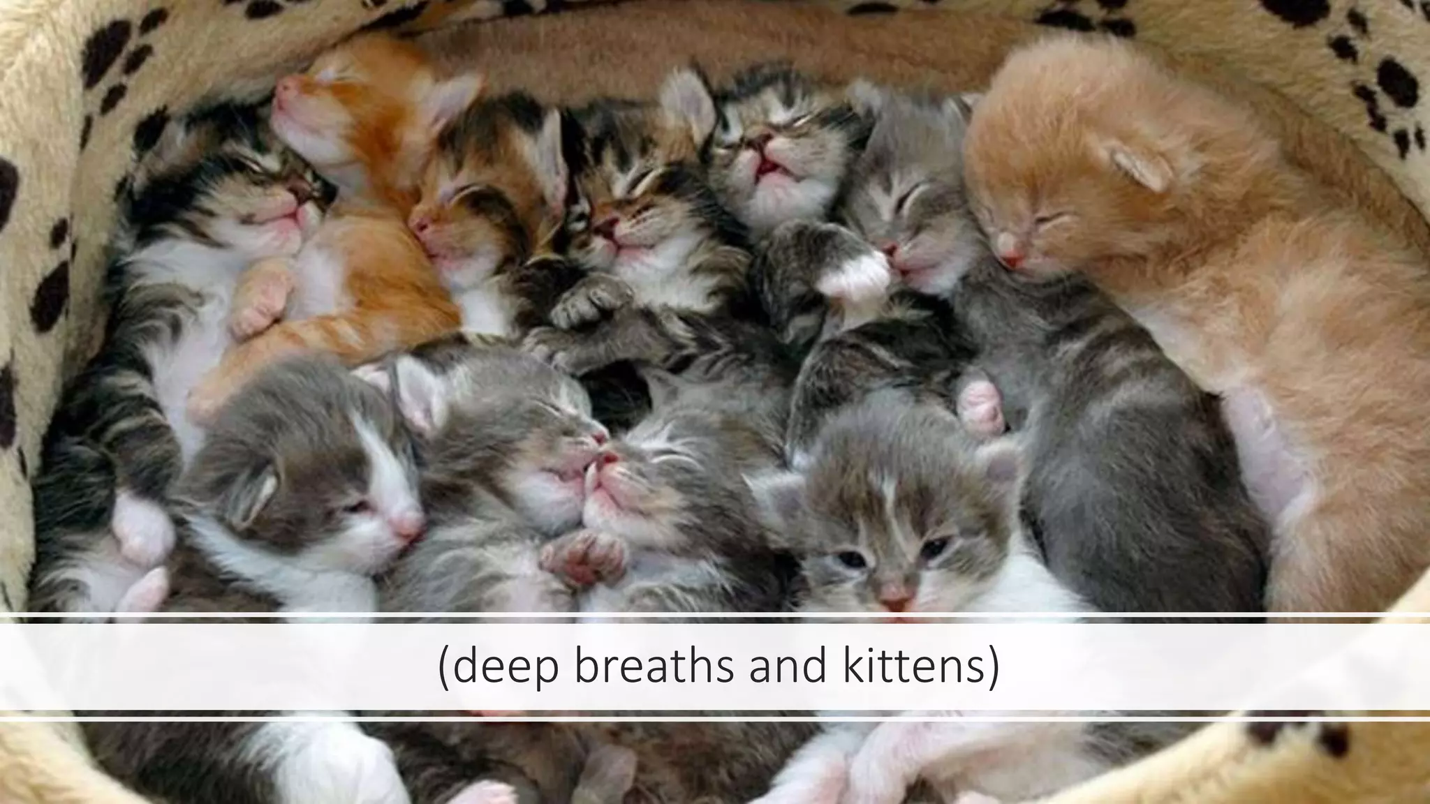 (deep breaths and kittens)
 